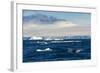 Zodiac with tourists cruising through the icebergs, Brown Bluff, Tabarin Peninsula, Antarctica, Pol-Michael Runkel-Framed Photographic Print