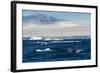 Zodiac with tourists cruising through the icebergs, Brown Bluff, Tabarin Peninsula, Antarctica, Pol-Michael Runkel-Framed Photographic Print