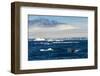 Zodiac with tourists cruising through the icebergs, Brown Bluff, Tabarin Peninsula, Antarctica, Pol-Michael Runkel-Framed Photographic Print