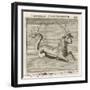 Zodiac-Gaius Julius Hyginus-Framed Photographic Print