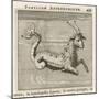 Zodiac-Gaius Julius Hyginus-Mounted Photographic Print