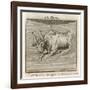 Zodiac-Gaius Julius Hyginus-Framed Art Print