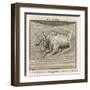 Zodiac-Gaius Julius Hyginus-Framed Art Print