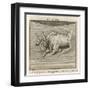 Zodiac-Gaius Julius Hyginus-Framed Art Print