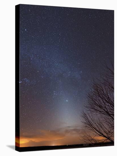 Zodiacal Light And Milky Way Over the Texas Plains-Stocktrek Images-Stretched Canvas