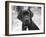 Zoey-Kim Levin-Framed Photographic Print