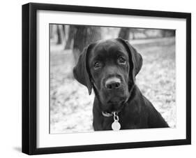 Zoey-Kim Levin-Framed Photographic Print