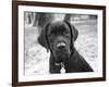 Zoey-Kim Levin-Framed Photographic Print