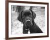 Zoey-Kim Levin-Framed Photographic Print