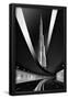 Essential Black
