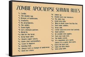 Zombie Apocalypse Rules Movie Plastic Sign-null-Framed Stretched Canvas