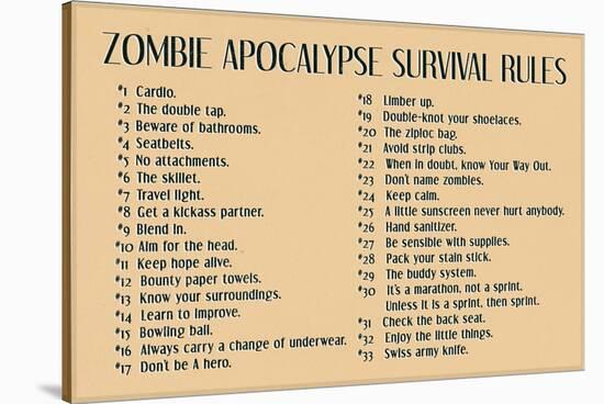 Zombie Apocalypse Rules Movie Plastic Sign-null-Stretched Canvas