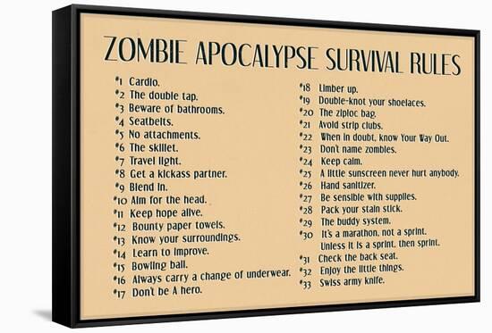 Zombie Apocalypse Rules Movie Plastic Sign-null-Framed Stretched Canvas