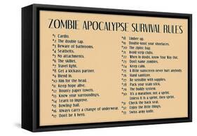 Zombie Apocalypse Rules Movie Plastic Sign-null-Framed Stretched Canvas