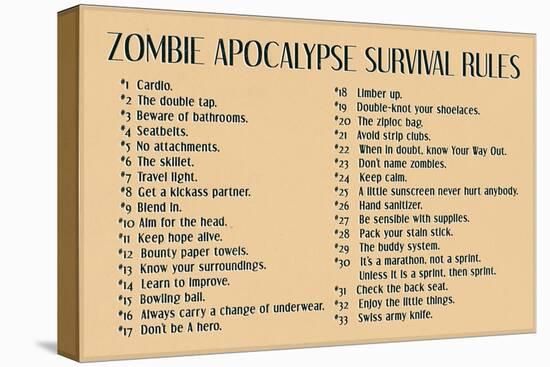 Zombie Apocalypse Rules Movie Plastic Sign-null-Stretched Canvas