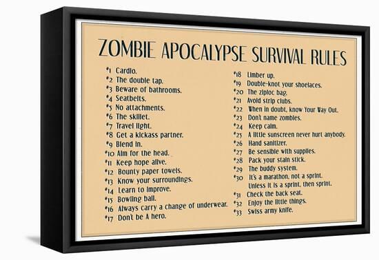 Zombie Apocalypse Rules-null-Framed Stretched Canvas