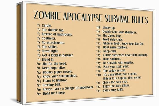 Zombie Apocalypse Rules-null-Stretched Canvas
