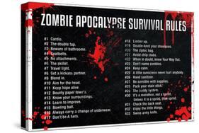 Zombie Apocalypse Survival Rules-null-Stretched Canvas