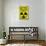 Zombie Fallout Shelter Sign Black Triangle Poster Print-null-Stretched Canvas displayed on a wall