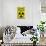 Zombie Fallout Shelter Sign Black Triangle Poster Print-null-Stretched Canvas displayed on a wall