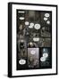 Zombies vs. Robots: Volume 1 - Comic Page with Panels-Anthony Diecidue-Framed Art Print