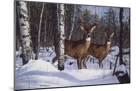Zone 1 Whitetail-Bruce Miller-Mounted Giclee Print
