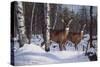 Zone 1 Whitetail-Bruce Miller-Stretched Canvas