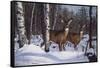 Zone 1 Whitetail-Bruce Miller-Framed Stretched Canvas