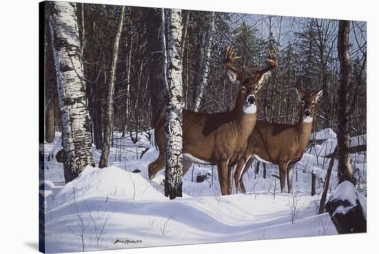 Zone 1 Whitetail-Bruce Miller-Stretched Canvas