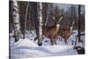 Zone 1 Whitetail-Bruce Miller-Stretched Canvas