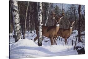 Zone 1 Whitetail-Bruce Miller-Stretched Canvas