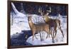 Zone 2 Whitetails-Bruce Miller-Framed Giclee Print