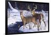 Zone 2 Whitetails-Bruce Miller-Framed Giclee Print