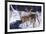 Zone 2 Whitetails-Bruce Miller-Framed Giclee Print