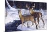 Zone 2 Whitetails-Bruce Miller-Mounted Giclee Print