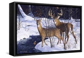 Zone 2 Whitetails-Bruce Miller-Framed Stretched Canvas