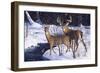 Zone 2 Whitetails-Bruce Miller-Framed Giclee Print