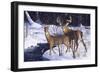 Zone 2 Whitetails-Bruce Miller-Framed Giclee Print