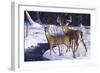 Zone 2 Whitetails-Bruce Miller-Framed Giclee Print