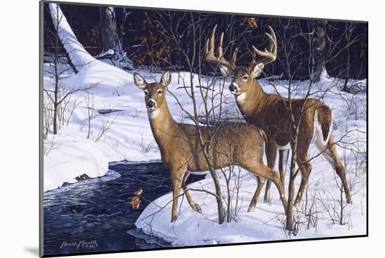 Zone 2 Whitetails-Bruce Miller-Mounted Giclee Print