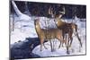 Zone 2 Whitetails-Bruce Miller-Mounted Giclee Print