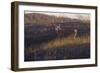 Zone 4-Bruce Miller-Framed Giclee Print