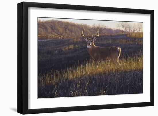 Zone 4-Bruce Miller-Framed Giclee Print