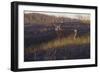 Zone 4-Bruce Miller-Framed Giclee Print