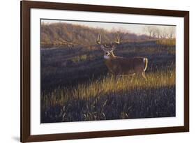 Zone 4-Bruce Miller-Framed Giclee Print