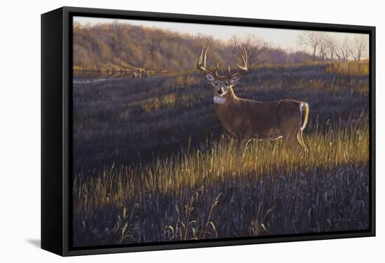 Zone 4-Bruce Miller-Framed Stretched Canvas