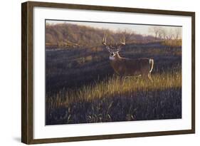 Zone 4-Bruce Miller-Framed Giclee Print