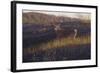 Zone 4-Bruce Miller-Framed Giclee Print