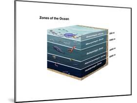 Zones of the Ocean-Spencer Sutton-Mounted Art Print