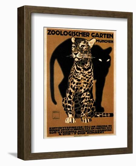 zoo big cats-null-Framed Premium Giclee Print